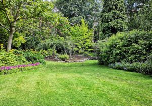 Optimiser l'expérience du jardin à Landevieille