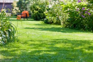 travaux jardin et paysage Landevieille